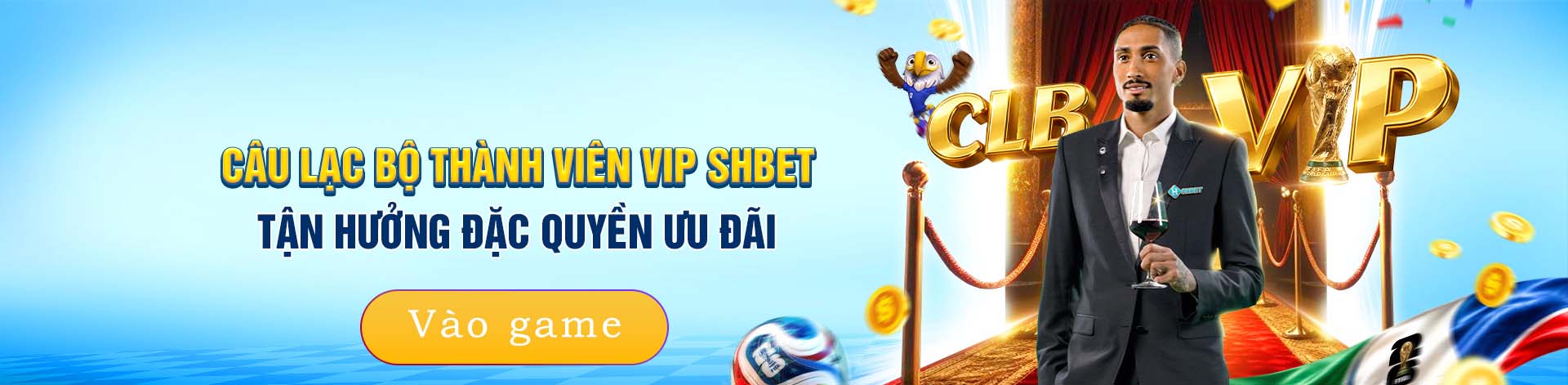 Baccarat VIP